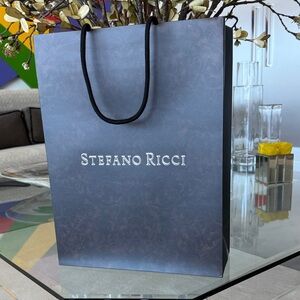 Stefano Ricci Elegant Black and Brown Men's Bag and insert sleeve